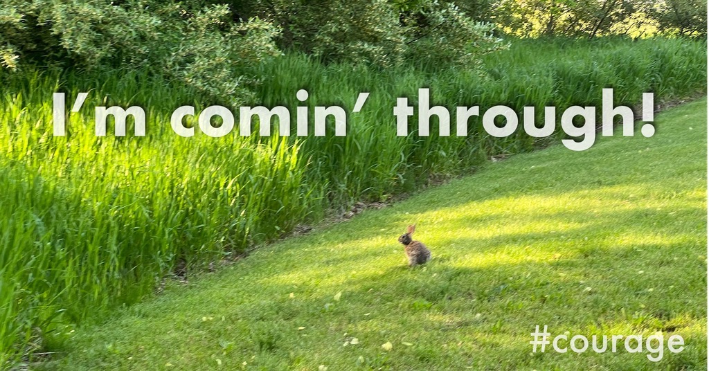 Rabbit Coming Through: A rabbit facing the swamp: “I’m comin’ through.” Tagged with “#courage”.; courage; bravery; rabbits; hares